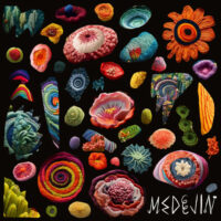 Medejin "The Garden" - Trans Violet Vinyl