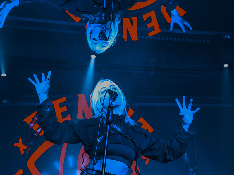 Denuit "LOVE Violence"
