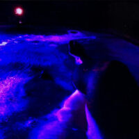 French Police "Bleu" - 2nd Print - Black Vinyl